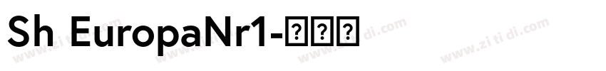 Sh EuropaNr1字体转换